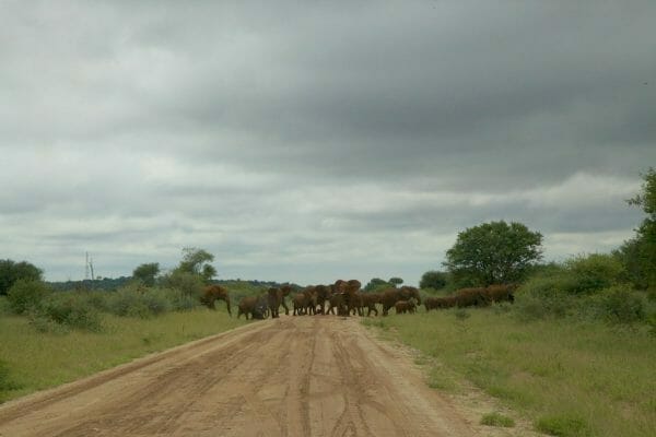 Botswana Selbstfahrer
