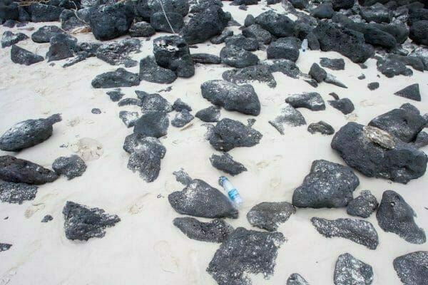 plastic pollution Galapagos Santa Cruz