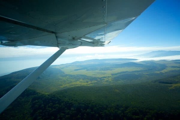 Tansania Fly In Safari